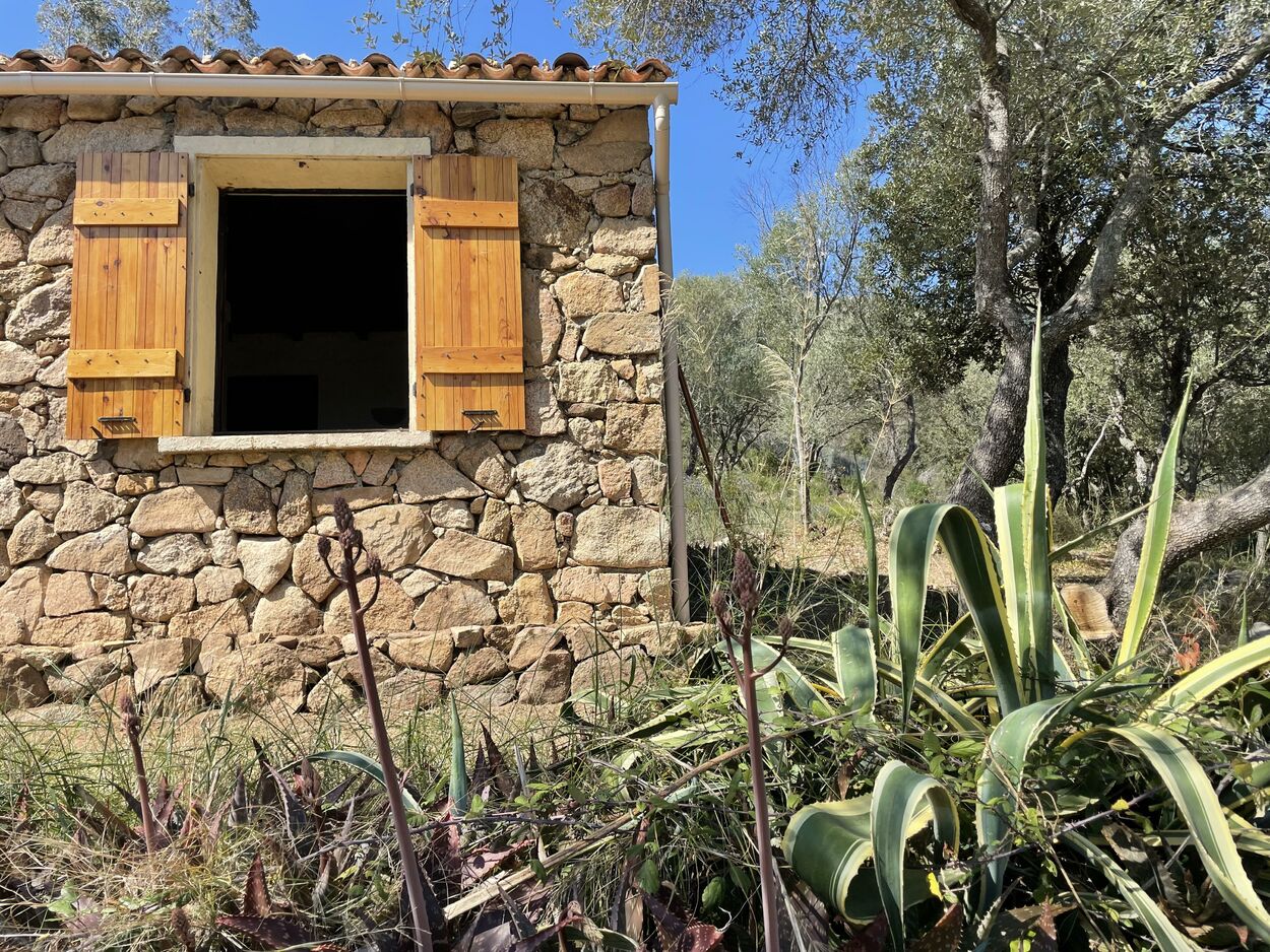 Maison En Pierre Stella Immobilier Ajaccio